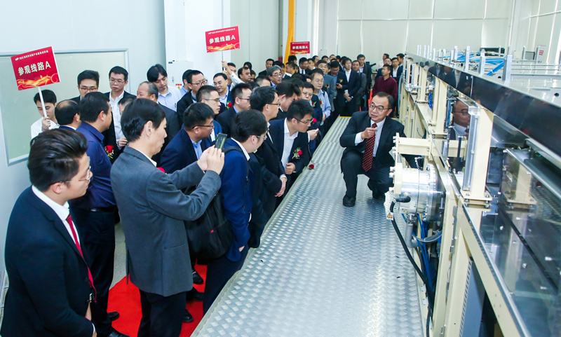 5e008a9aebabd.jpg 59380456副本800.jpg